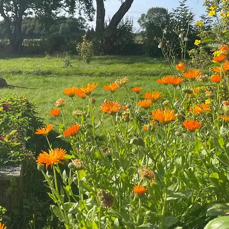 Historic Summer House From 1877 With Scenic View וילה